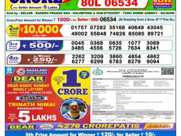 Dhankesari Result Today 1 PM Lottery Sambad 12/01/26