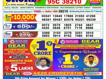 Dhankesari Result Today 1 PM Lottery Sambad 29/05/26