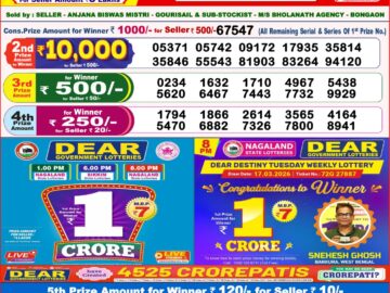 Dhankesari Result Today 8 PM Lottery Sambad 29/05/26