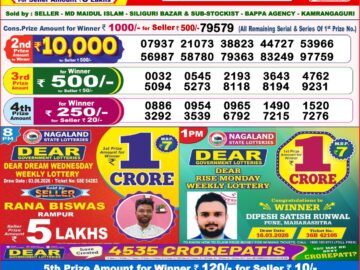 Dhankesari Result Today 8 PM Lottery Sambad 04/06/26