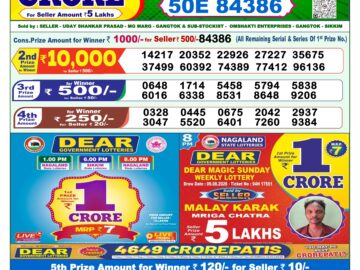 Dhankesari Today Result 1 PM Lottery Sambad 13/08/26