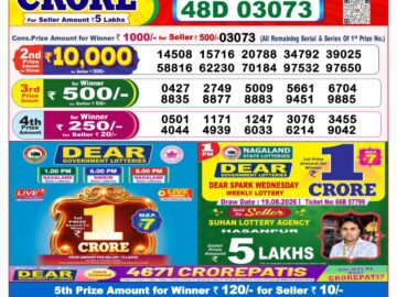 Dhankesari Today Result 8 PM Lottery Sambad 25/08/26