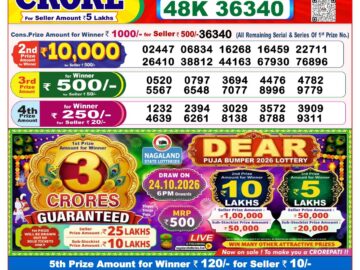 Dhankesari Today Result 8 PM Lottery Sambad 11/10/26